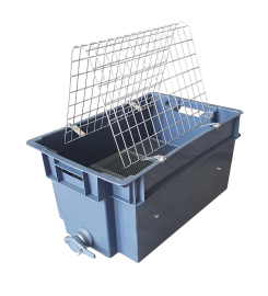 Plastic container for comb opening Stainless steel Frames